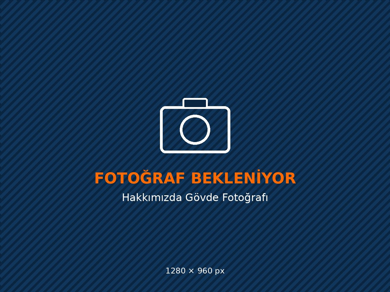 Viral Evden Eve Nakliyat çelik kasa araç filosu